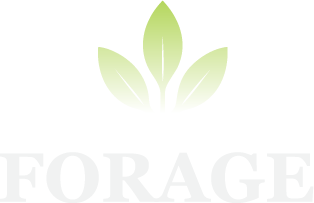 Forage