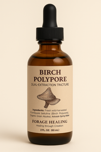 Birch Polypore Dual-Extraction 2oz Tincture – Wildcrafted & Potent image 0