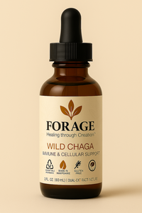 Wild Chaga – Immune & Cellular Support image 0